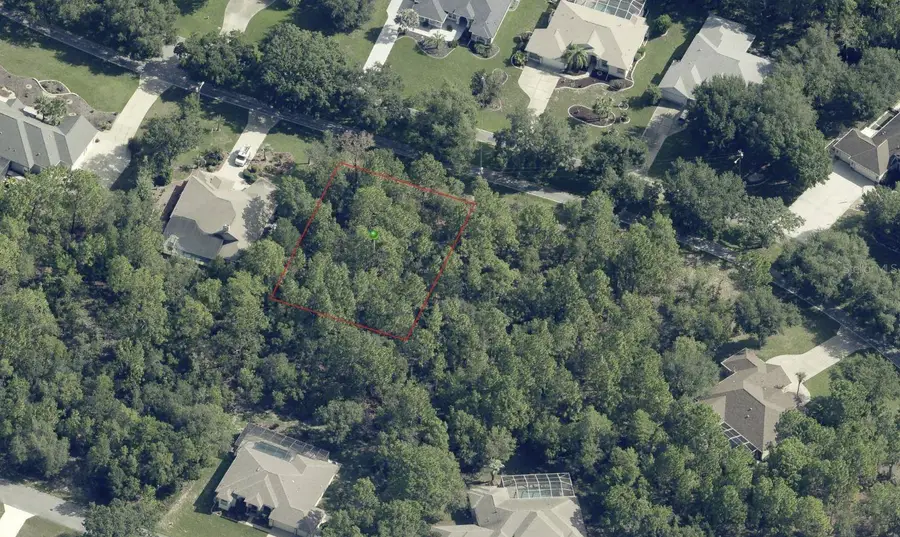 124 Oak Village Boulevard S, Homosassa, FL 34446 - #3