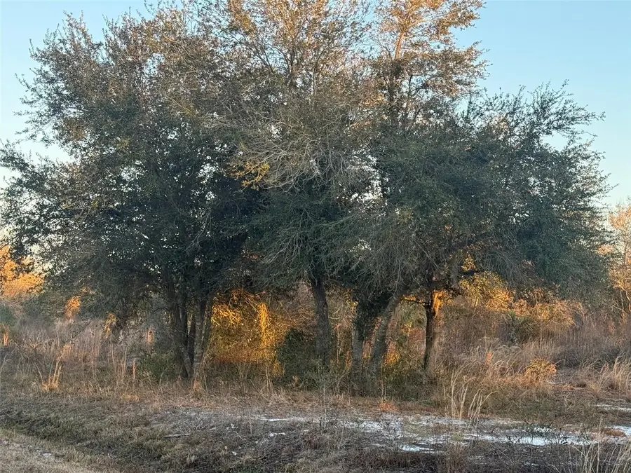 18344 NW 284th Street, Okeechobee, FL 34972 - Image #2