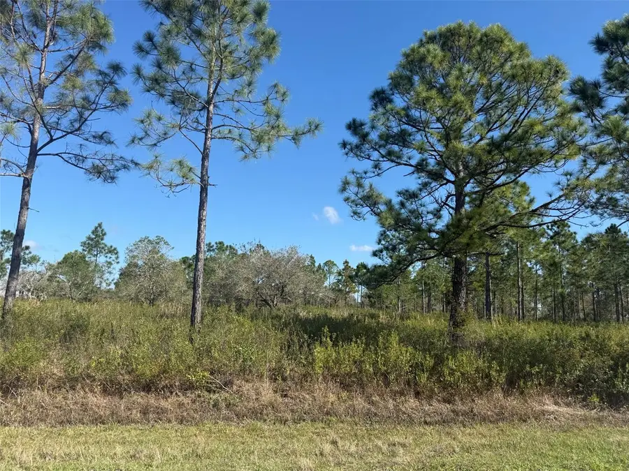 15942 NW 312th Street, Okeechobee, FL 34972 - #2