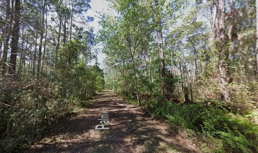 418 Palm Way, Georgetown, FL 32139 - #2