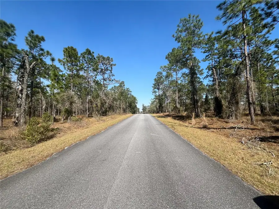 Water Oak Avenue, Dunnellon, FL 34431 - #2
