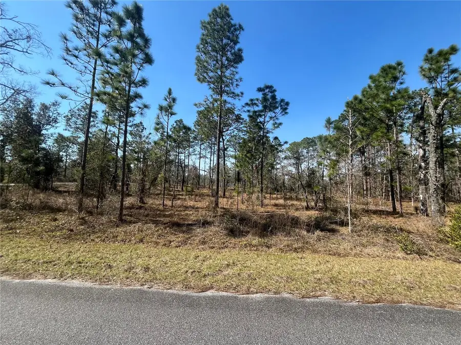 Water Oak Avenue, Dunnellon, FL 34431 - #3