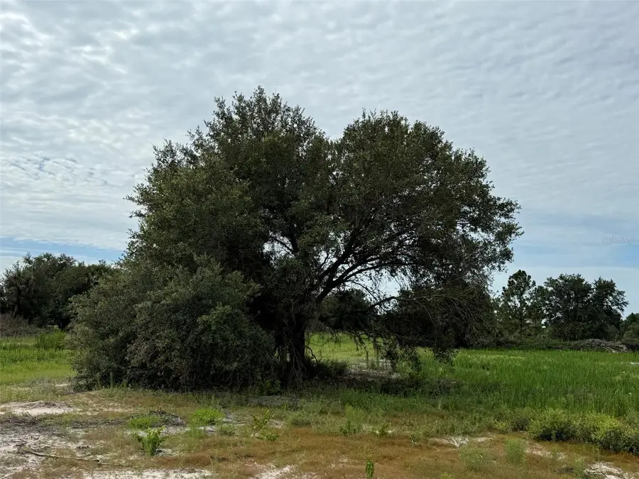 16814 NW 296th Street, Okeechobee, FL 34972 - #2