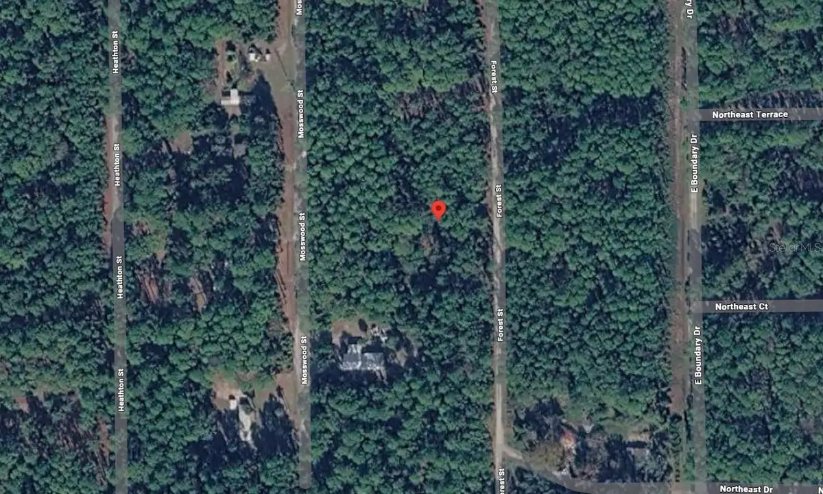 143 Forest Street, Georgetown, FL 32139 - #1