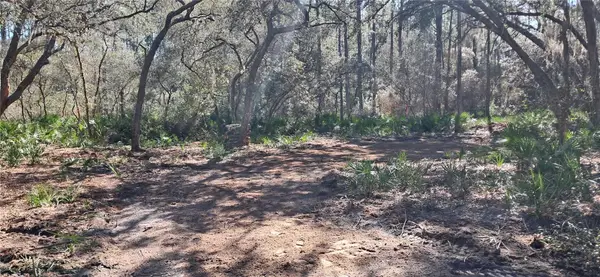 119 Gardenia Avenue, GEORGETOWN, FL 32139