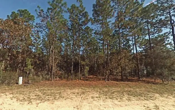 Lot 5 SW 166th Court Road, DUNNELLON, FL 34432