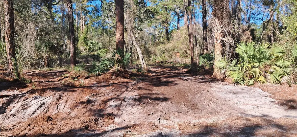 120 Gardenia Avenue, Georgetown, FL 32139 - #1