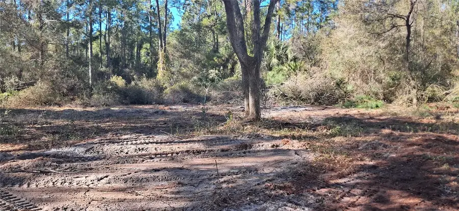 120 Gardenia Avenue, Georgetown, FL 32139 - #3