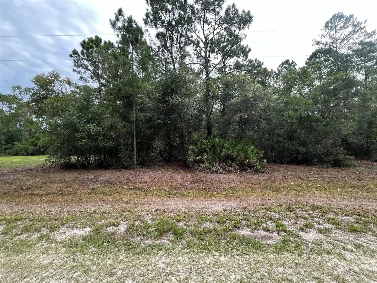124 Glenside Street, Georgetown, FL 32139 - #1