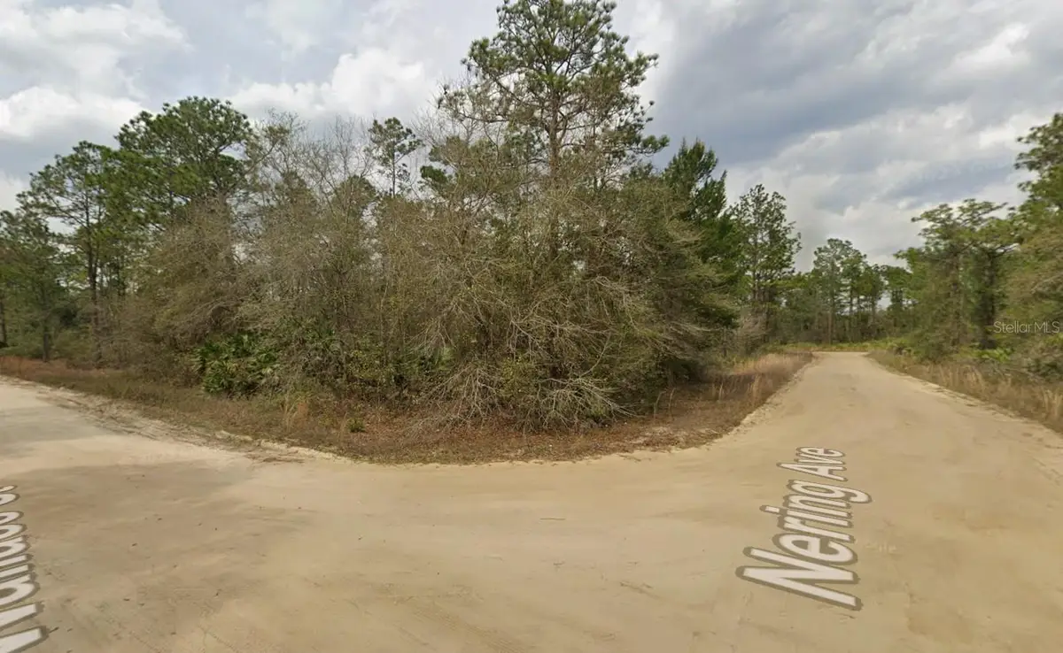 LOT 18 Wallace Street, Interlachen, FL 32148 - #1