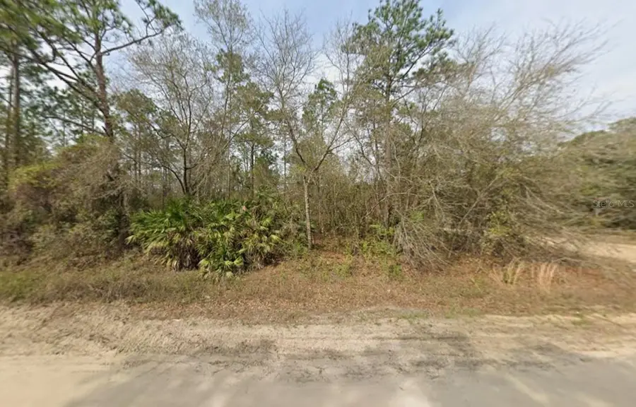 LOT 18 Wallace Street, Interlachen, FL 32148 - #3