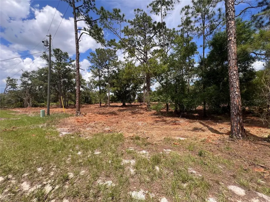Deer Road, Frostproof, FL 33843 - #3