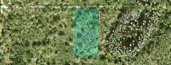 Inaccessible Tract, KATHLEEN, FL 33849