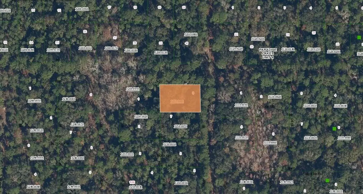 Spruce Drive, Georgetown, FL 32139 - #1