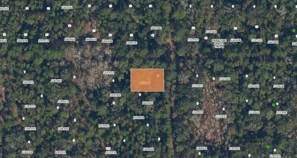 Spruce Drive, GEORGETOWN, FL 32139