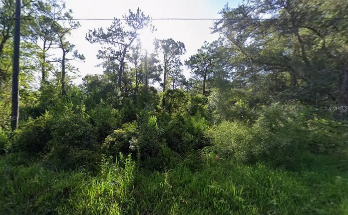 Atlee Street, New Port Richey, FL 34654 - #1