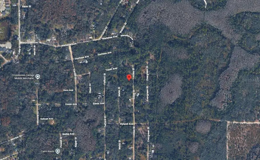Atlee Street, New Port Richey, FL 34654 - #3