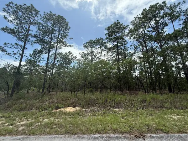 TBD Tree Top Road, DUNNELLON, FL 34431