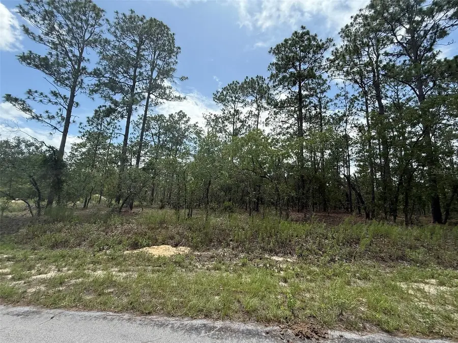 TBD Tree Top Road, Dunnellon, FL 34431 - #3