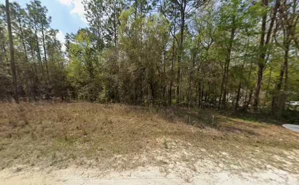 SW 45th Lane Road, OCALA, FL 34481