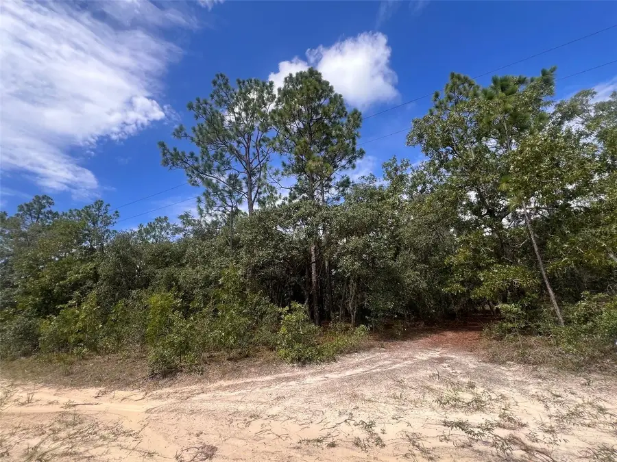 5614 S Georgian Road, Homosassa, FL 34446 - #3