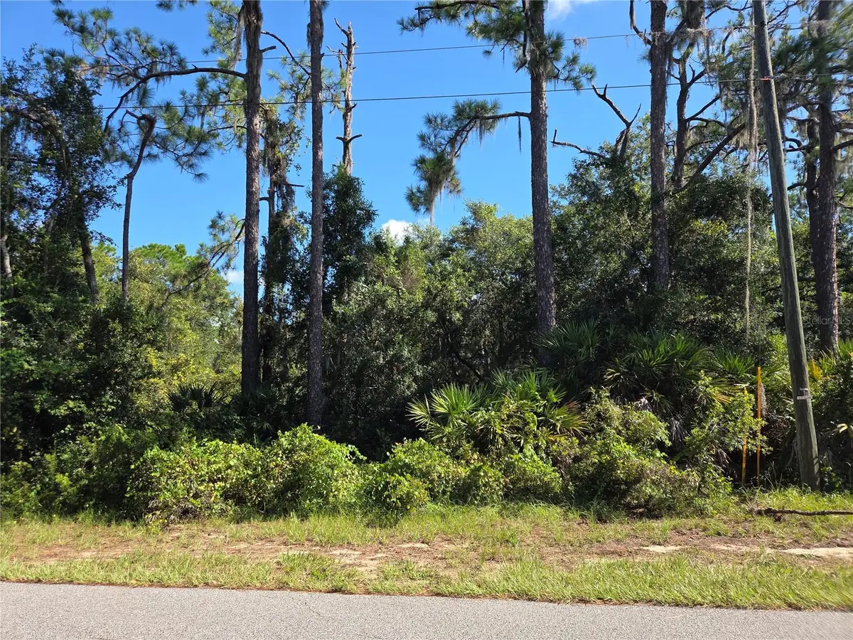 Deer Road, Frostproof, FL 33843 - #1