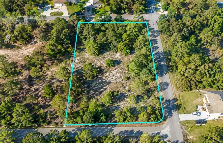 12194 Labrador Duck Road, Weeki Wachee, FL 34614 - #2