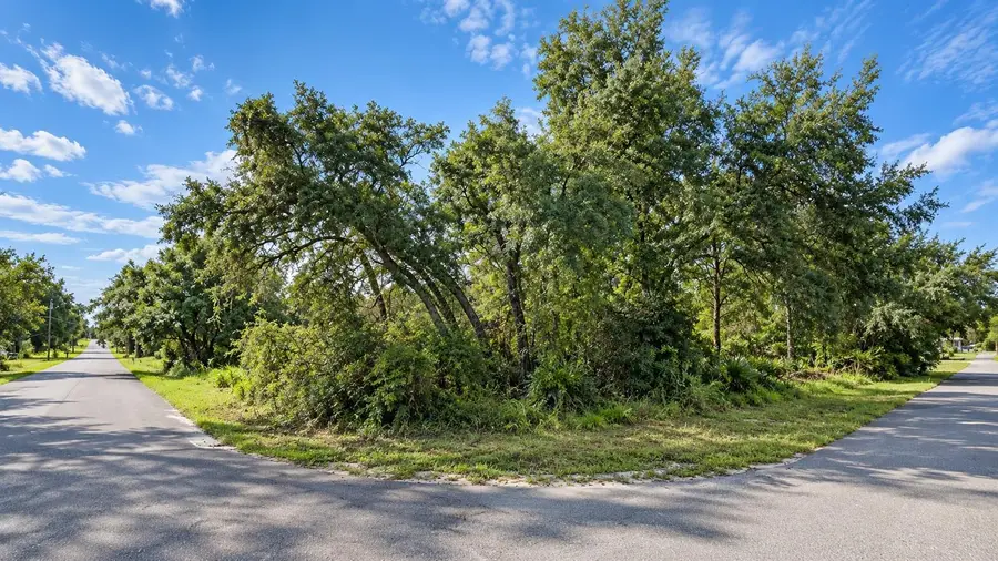 12194 Labrador Duck Road, Weeki Wachee, FL 34614 - #3