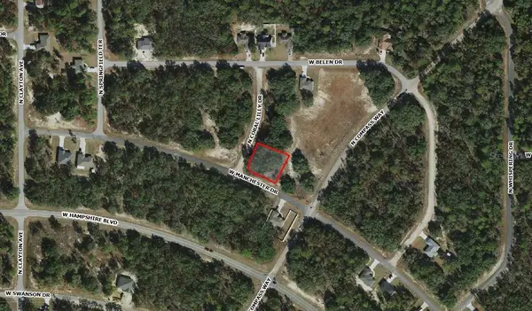 6371 N Coral Lily Drive, CITRUS SPRINGS, FL 34434