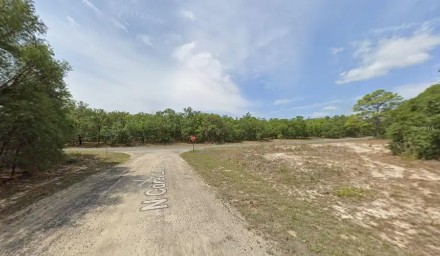 6371 N Coral Lily Drive, Citrus Springs, FL 34434 - #3