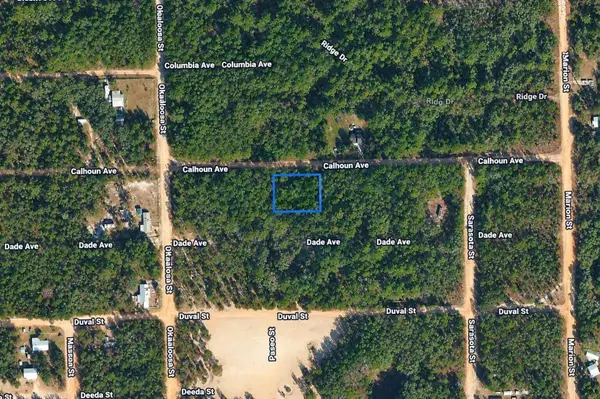 313 Calhoun Avenue, FLORAHOME, FL 32140