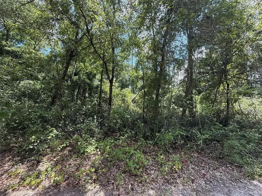 313 Calhoun Avenue, Florahome, FL 32140 - #2