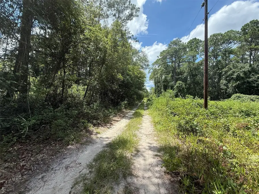 313 Calhoun Avenue, Florahome, FL 32140 - #3