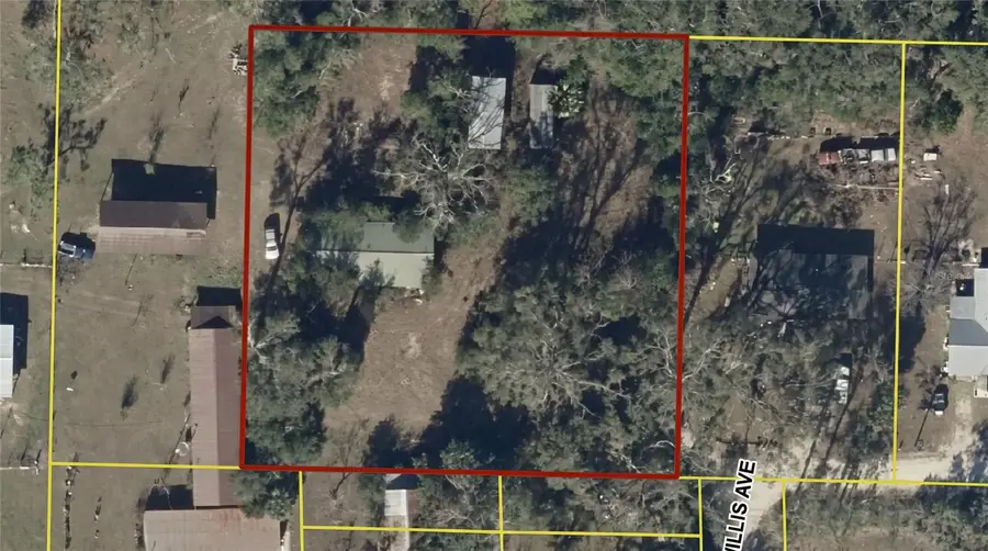 101 NE Schoolhouse Lane, Mayo, FL 32066 - #3