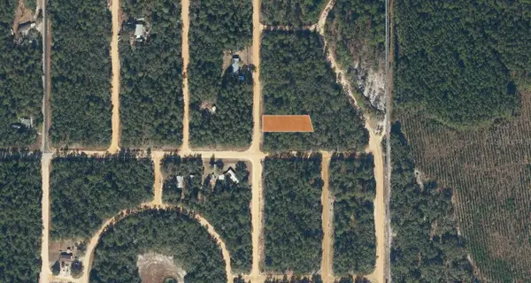 Creager Avenue, INTERLACHEN, FL 32148