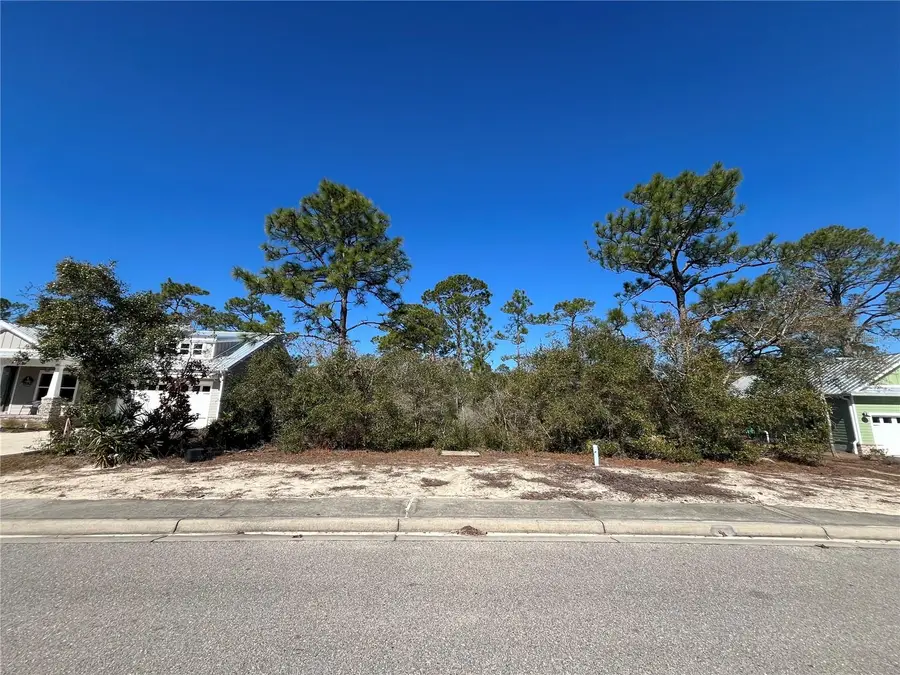 394 Royal Tern Way, Carrabelle, FL 32322 - #2