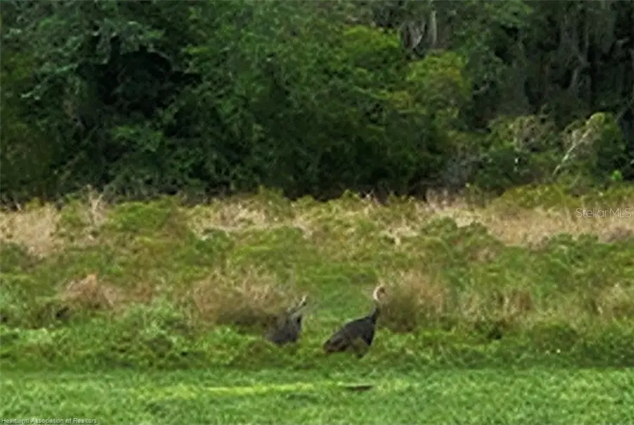 1013 Cattle Ranch Road, Venus, FL 33960 - Image #2