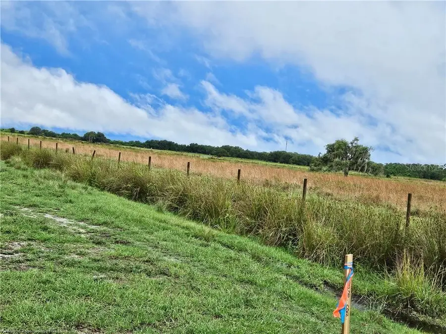 1013 Cattle Ranch Road, Venus, FL 33960 - Image #3