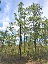 Lot 15 Ixora Drive, Indian Lake Estates, FL 33855 - #1