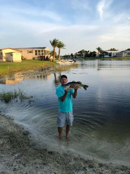 21 Silversides Street, Lake Wales, FL 33853 - Image #3