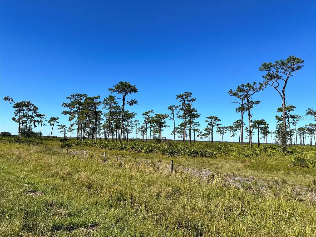E County Line Road, Fort Meade, FL 33841 - Image #1