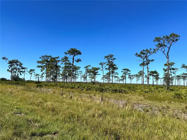 E County Line Road, FORT MEADE, FL 33841