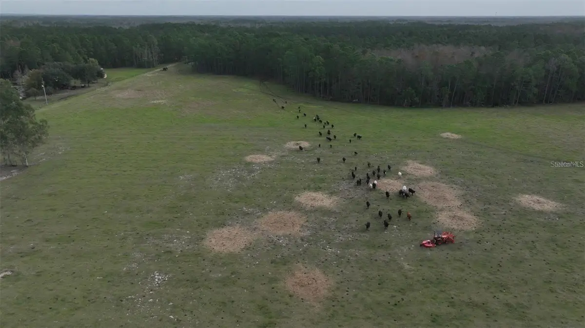 Berry Groves Rd Drive, Clermont, FL 34714 - Image #1