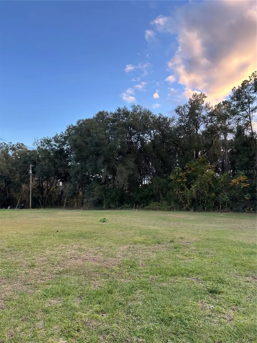 Undetermined, Citra, FL 32113 - Image #2