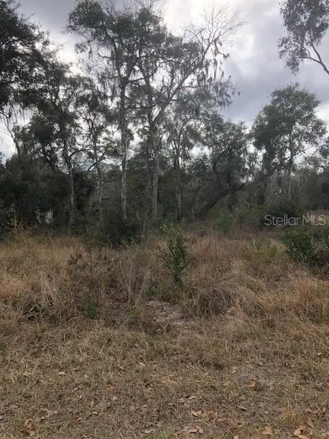 1708 N Retreat Drive, Inverness, FL 34453 - Image #1