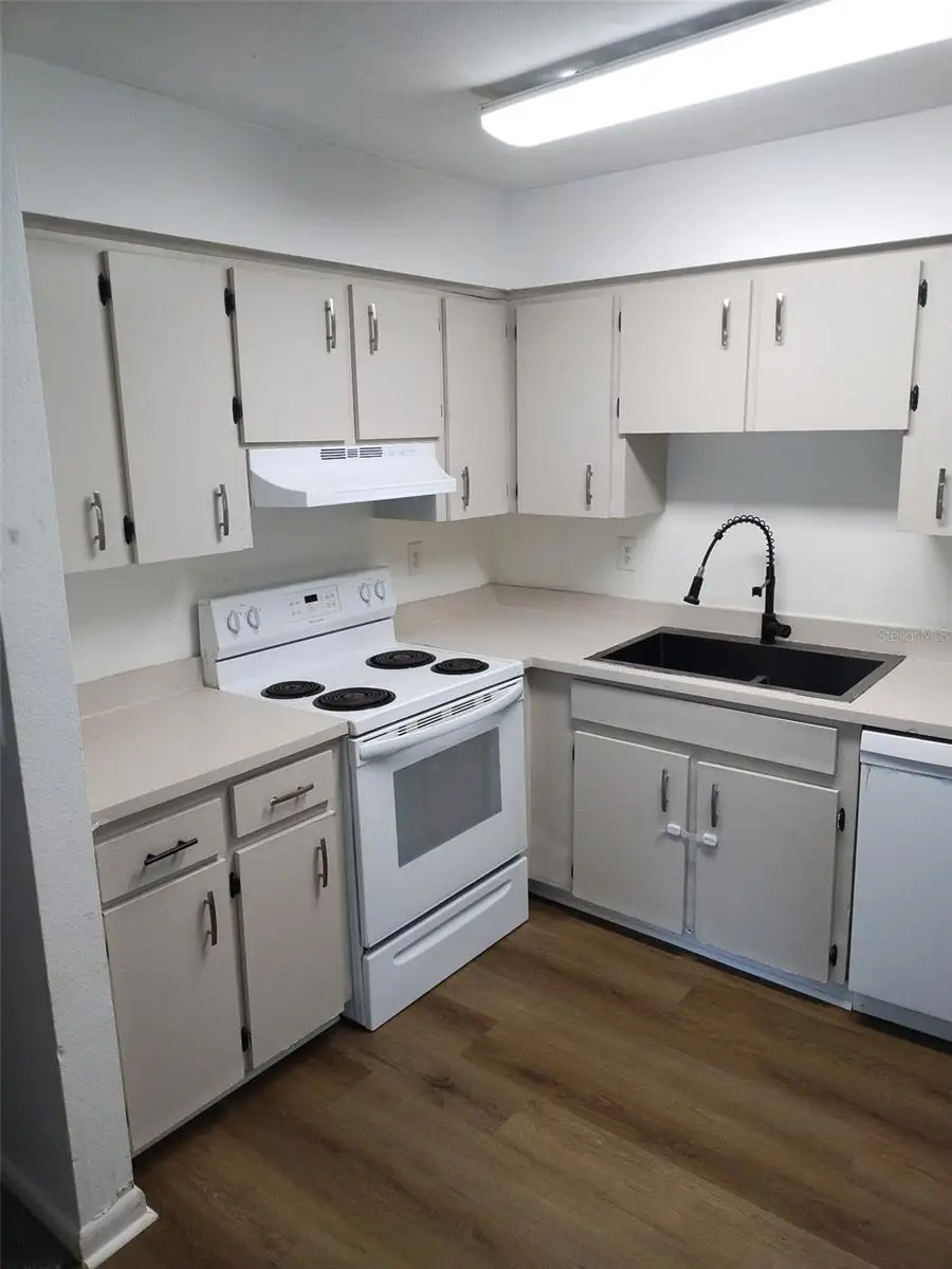 256 Village View Lane, Lakeland, FL 33809 - Image #3