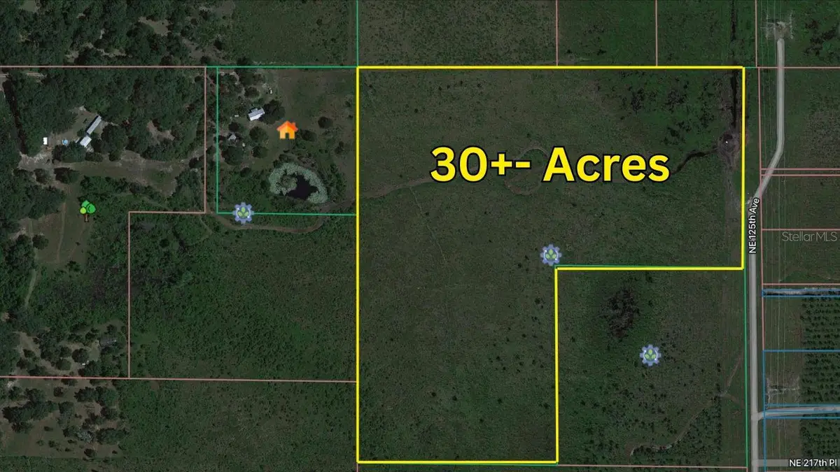 0 Ne 125th, Fort McCoy Anthony, FL 32134 - Image #1