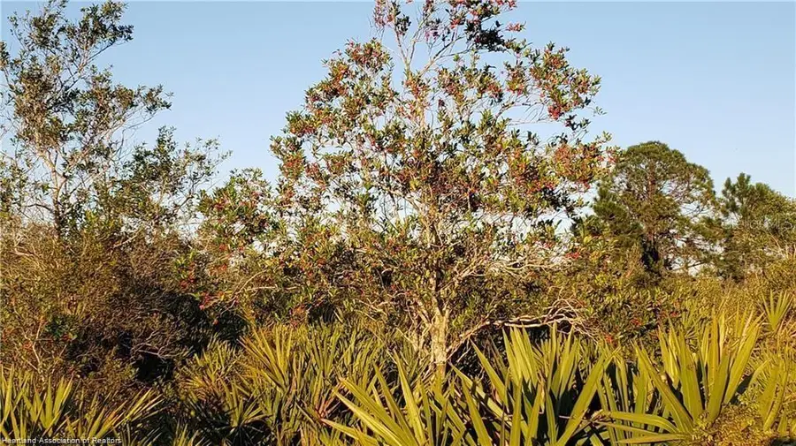 625 N Range Drive, Lorida, FL 33857 - Image #2