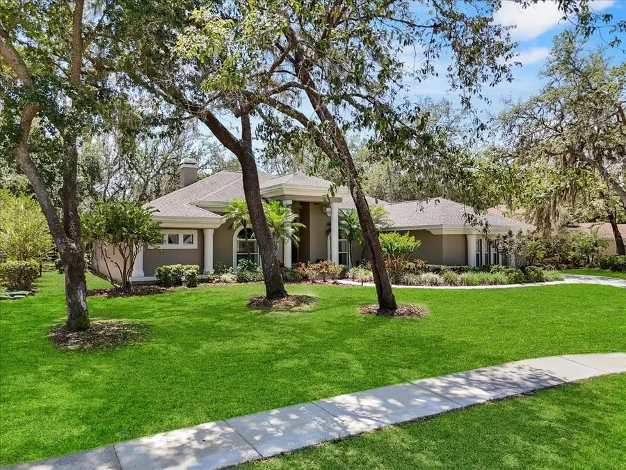 6007 Hammock Hill Avenue, Lithia, FL 33547 - Image #3