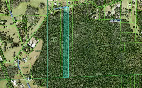 000 Green Pond Road, POLK CITY, FL 33868